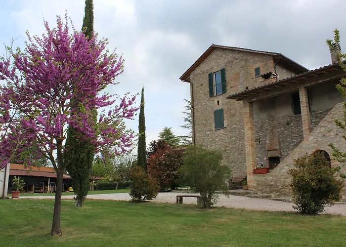 Fattoria Di Rigone Coltavolino