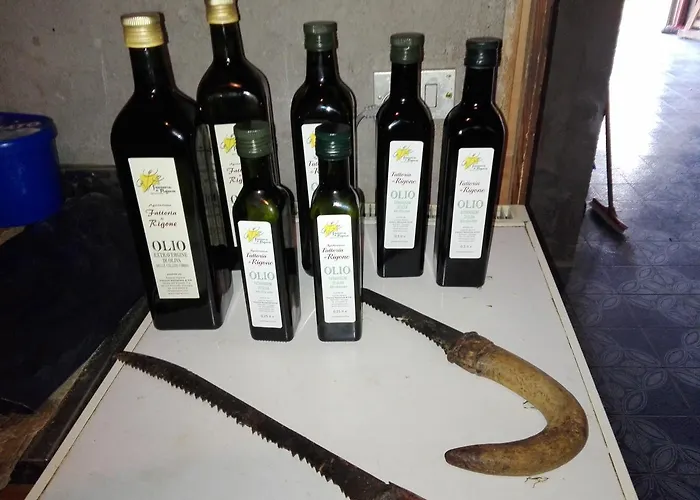 Fattoria Di Rigone Alojamento de Turismo Rural Coltavolino