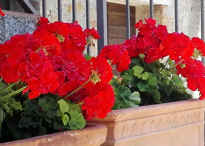 Fattoria Di Rigone Alojamento de Turismo Rural *