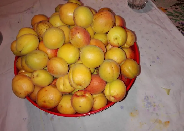 Fattoria Di Rigone *