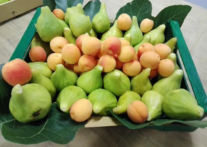 Fattoria Di Rigone *