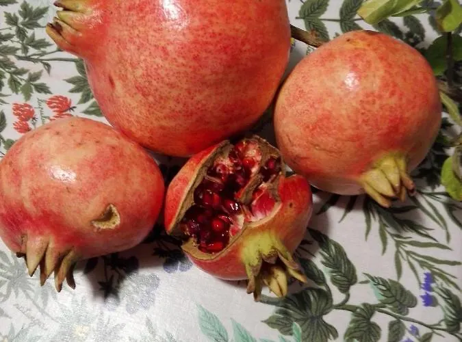 Alojamento de Turismo Rural Fattoria Di Rigone Coltavolino